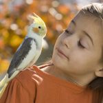 غذای مناسب عروس هلندی
